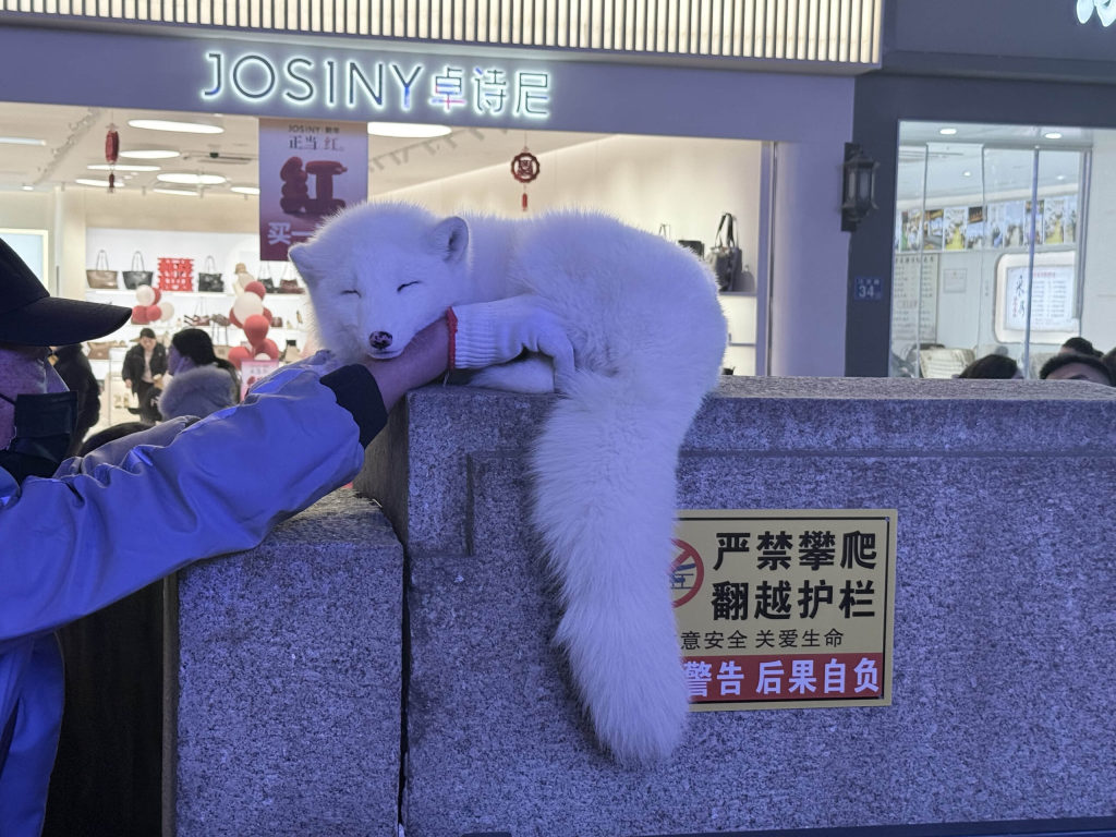 2025 年终总结-Jacky's Blog