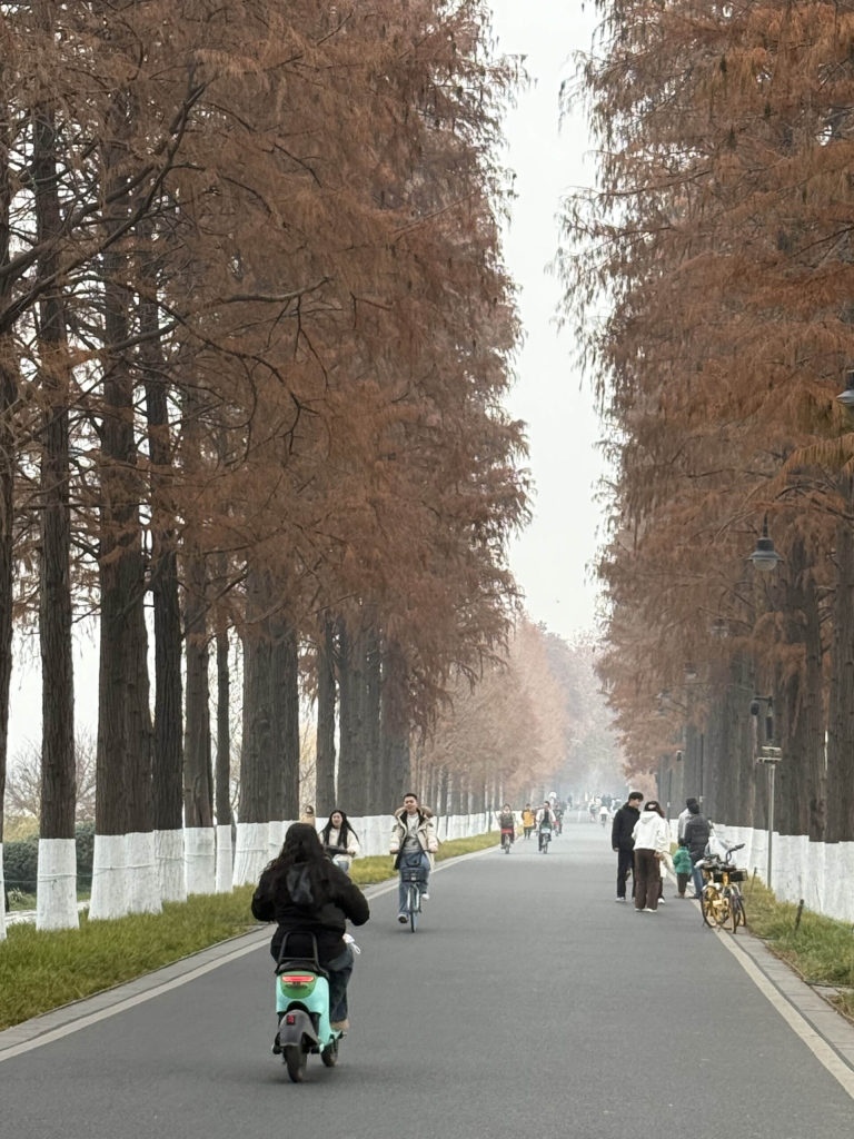 2025 年终总结-Jacky's Blog