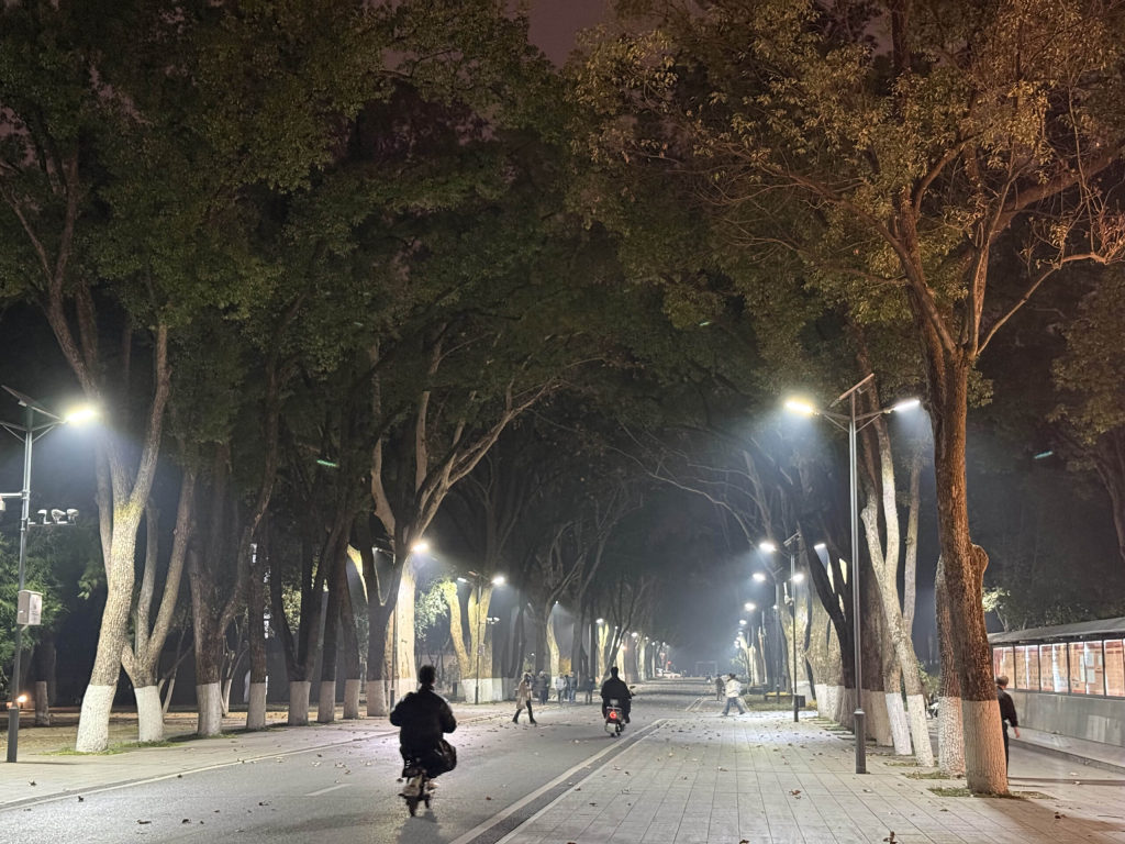 2025 年终总结-Jacky's Blog