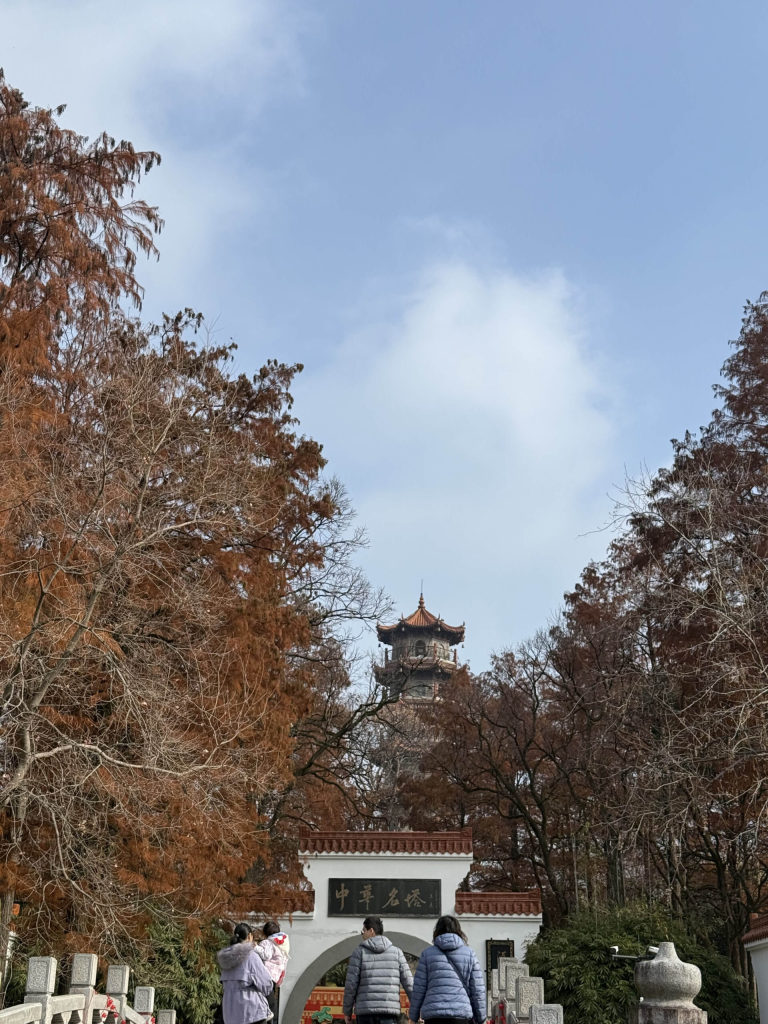 2025 年终总结-Jacky's Blog