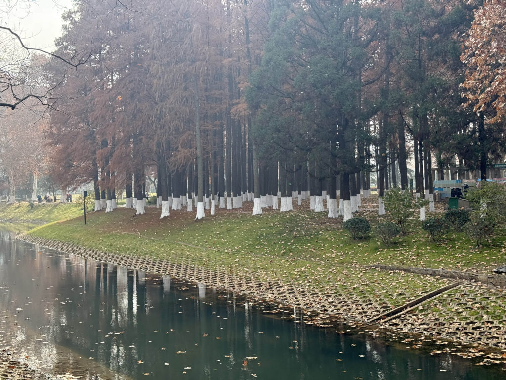 2025 年终总结-Jacky's Blog