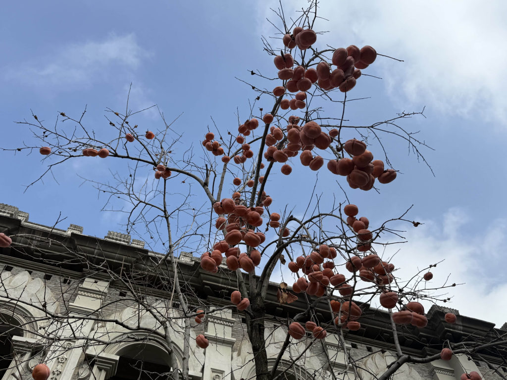 2025 年终总结-Jacky's Blog