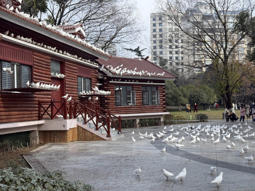 2025 年终总结-Jacky's Blog